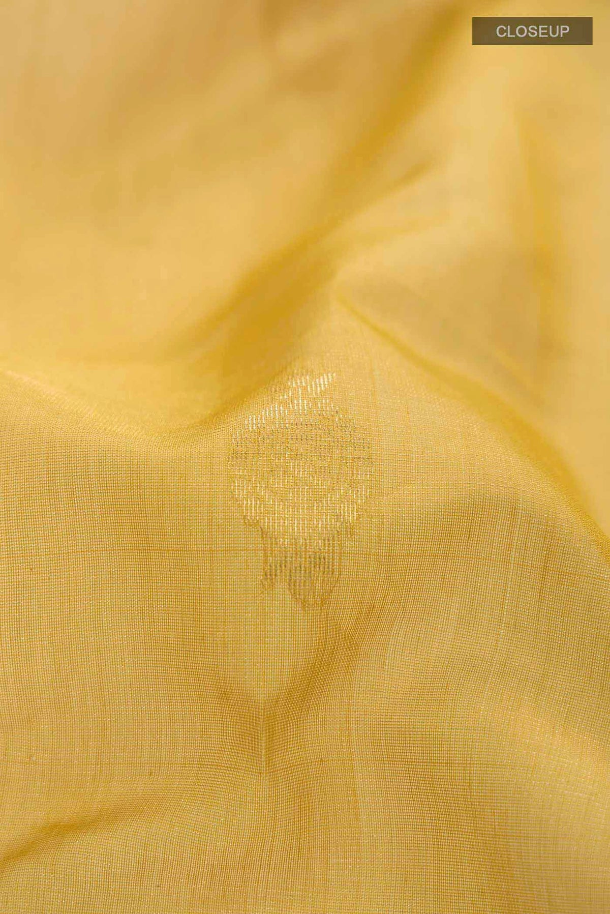 Close up of Mustard Silk Cotton Saree with Zari Butta on the body and Zari Border displaying folds