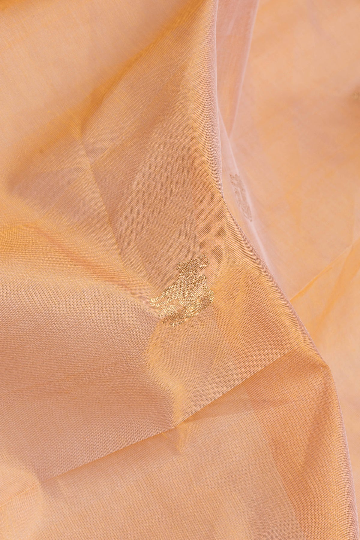 Close up of Sandal Silk Cotton Saree with Zari Butta on the body and Zari Border.  displaying folds
