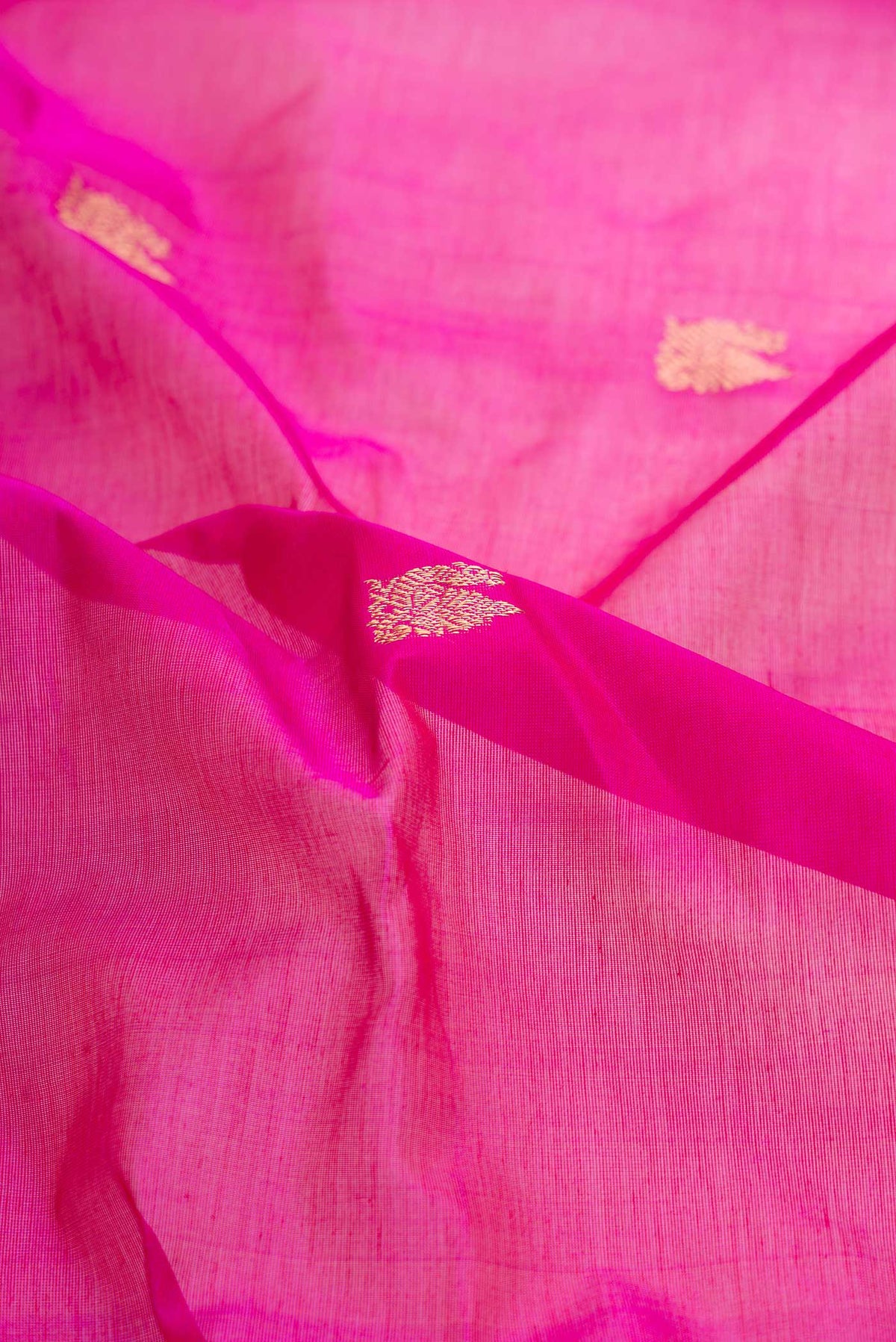 Close up of Pink Dual Tone Silk Cotton Saree with Zari Butta on the body and Zari Border displaying folds
