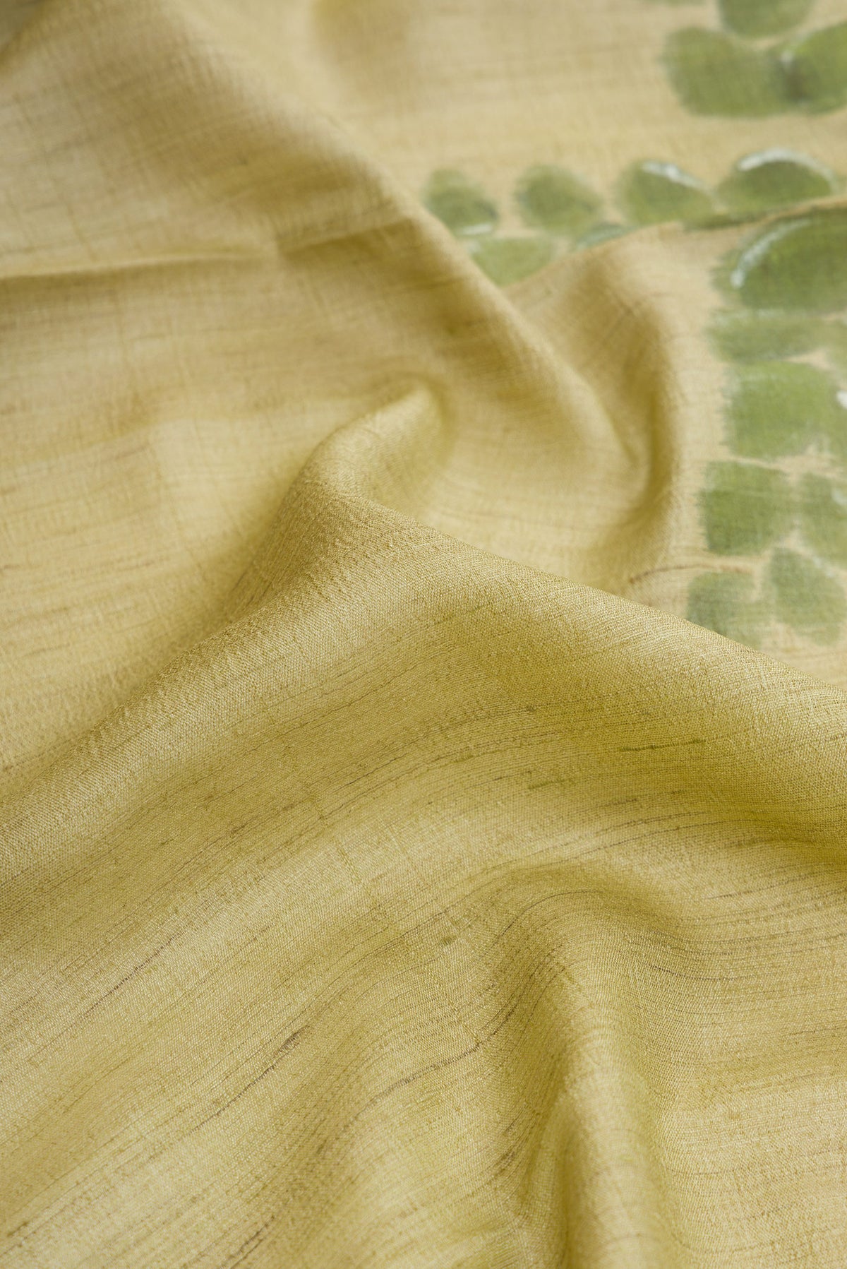 Close up of Pista Green Dual Tone Tussar Silk Saree with Printed design on the body and Plain Border.  displaying folds