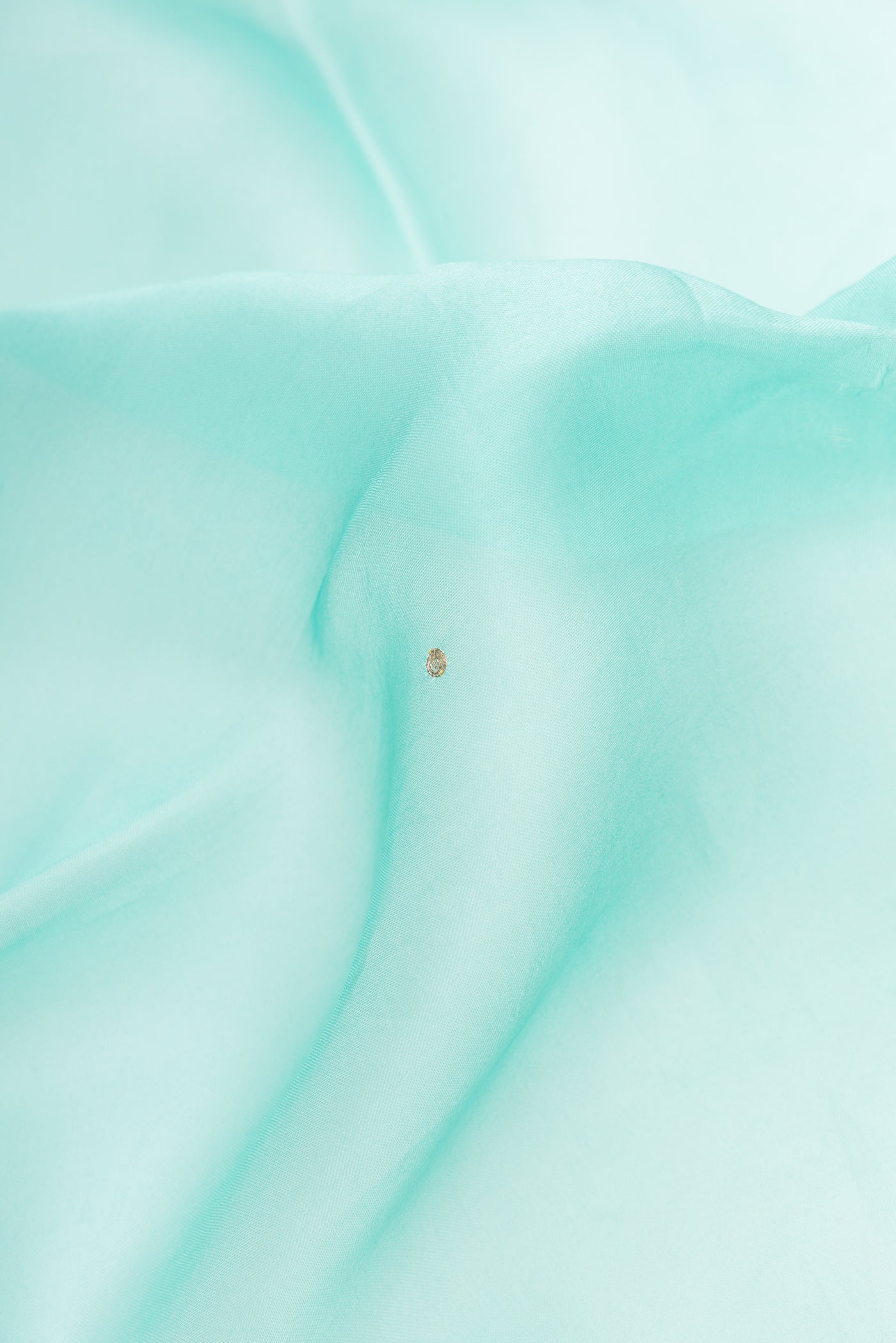 Close up of Sky Blue Dual Tone Organza Silk Saree with Embroidery on the body and Embroidery Border.  displaying folds