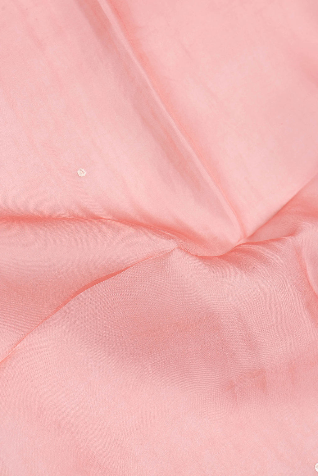 Close up of Peach Dual Tone Organza Silk Saree with Embroidery on the body and Embroidery Border.  displaying folds