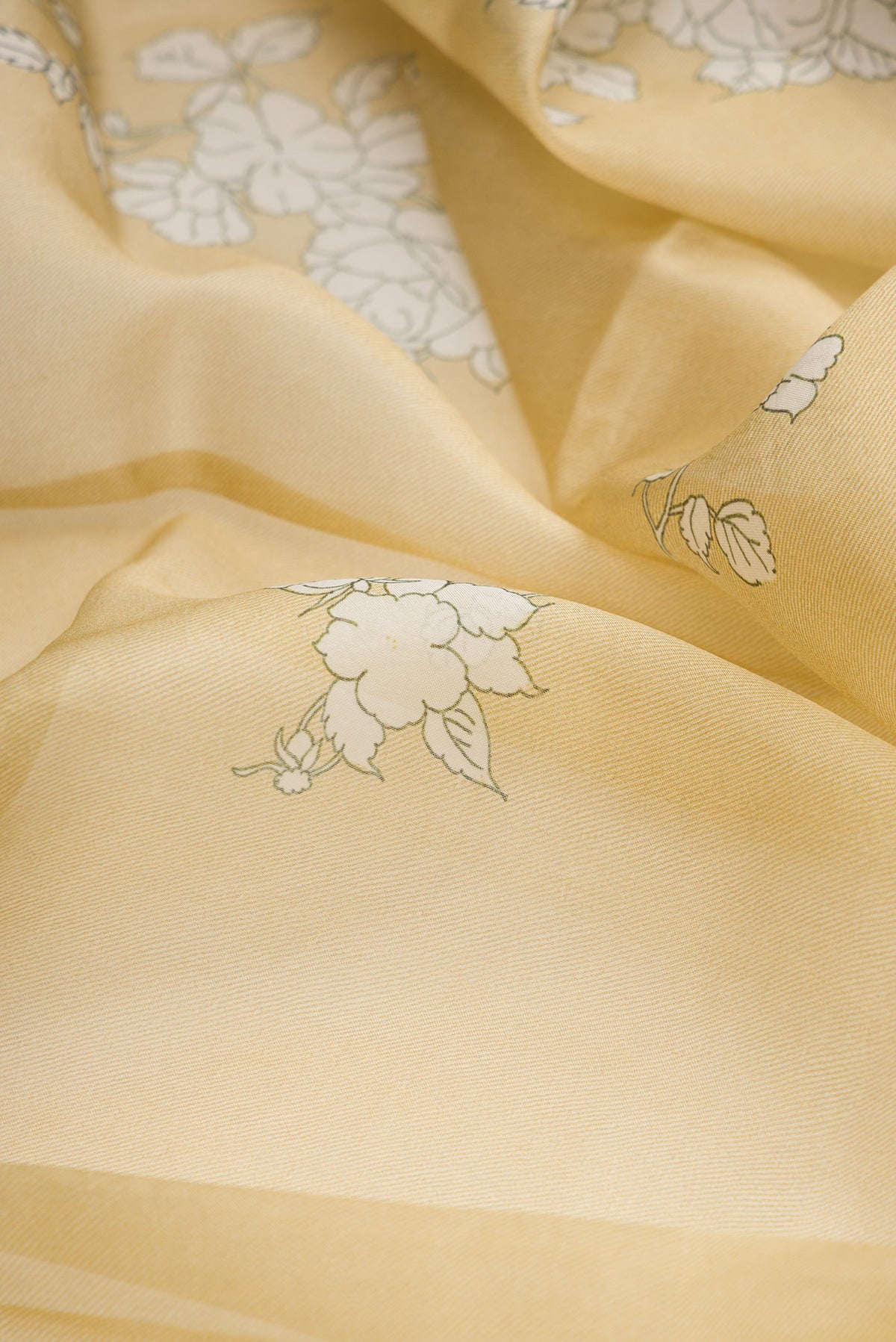 Close up of Beige Dual Tone Organza Silk Saree with Printed design on the body and Embroidery Border.  displaying folds
