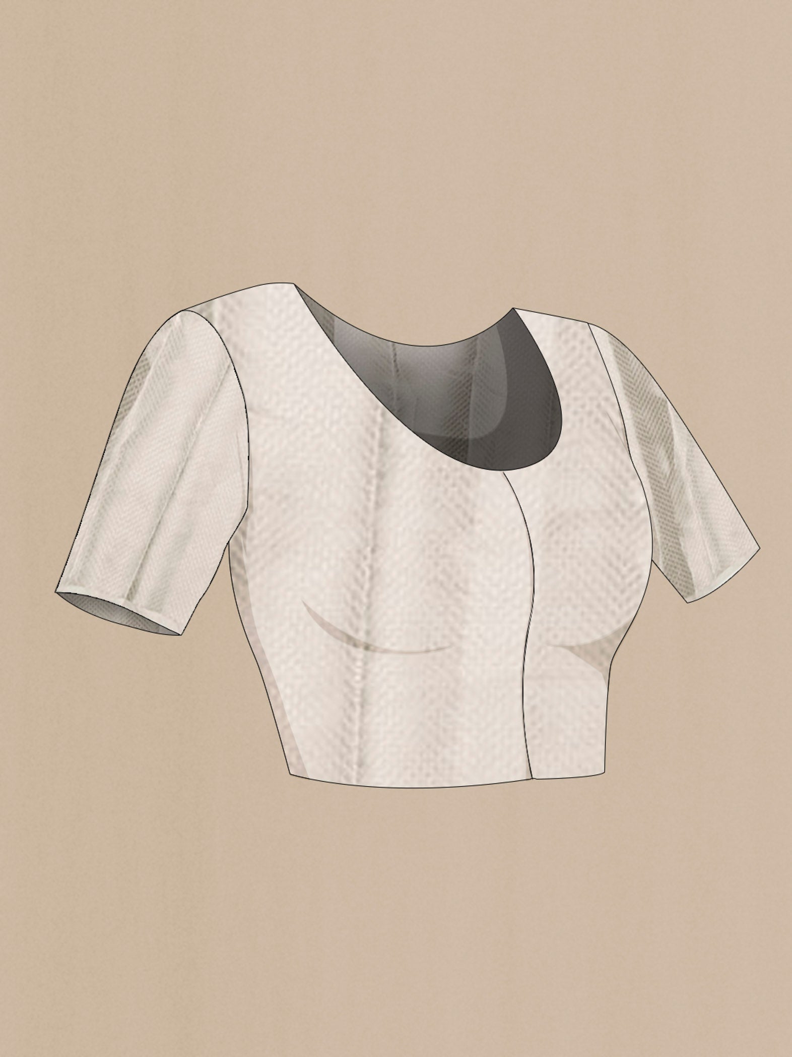 Close up image of the blouse of Silver Tissue Silk Saree with Plain Body and Embroidery Border