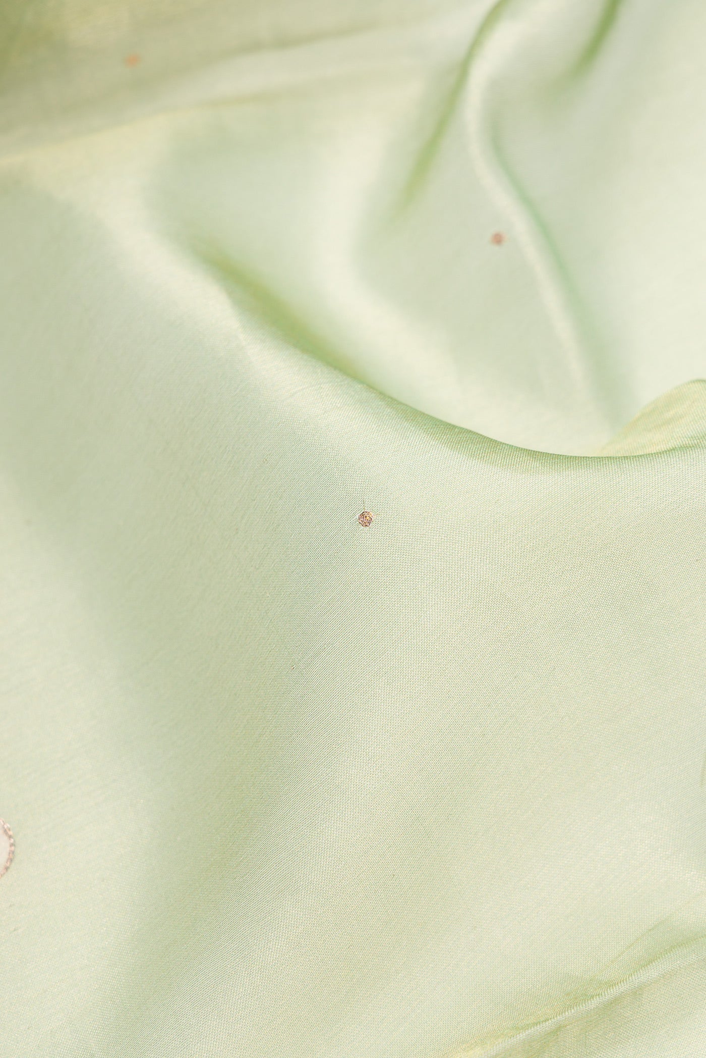 Close up of Pista Green Dual Tone Organza Silk Saree with Embroidery on the body and Embroidery Border.  displaying folds