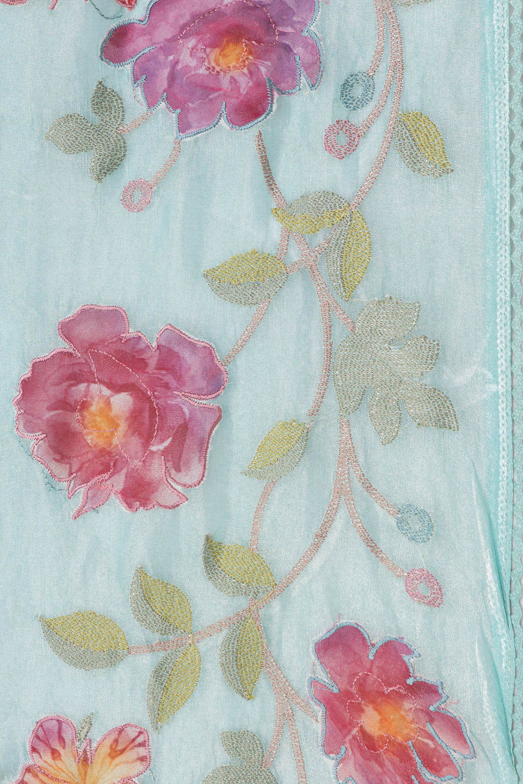 Border image of Sea Green Dual Tone Organza Silk Saree with Embroidery on the body and Embroidery Border. 