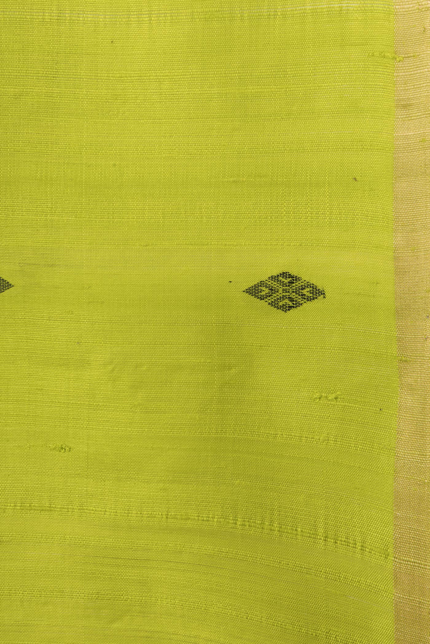 Border image of Parrot Green Dual Tone Raw Silk Saree with Thread Butta on the body and Thin Zari Line. 