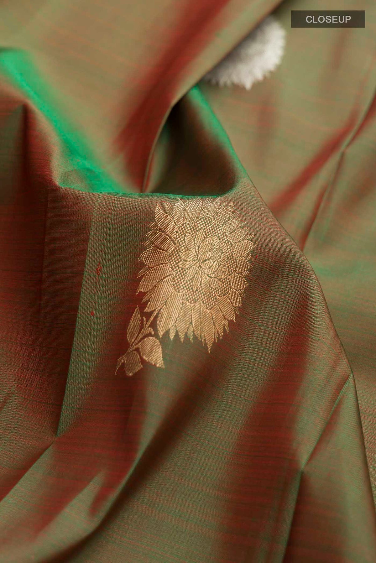 Close up of Green Kanchipuram Silk Saree with Zari Butta on the body and Zari Border displaying folds