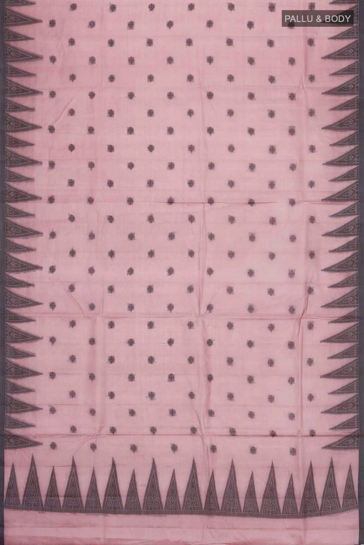 pallu body