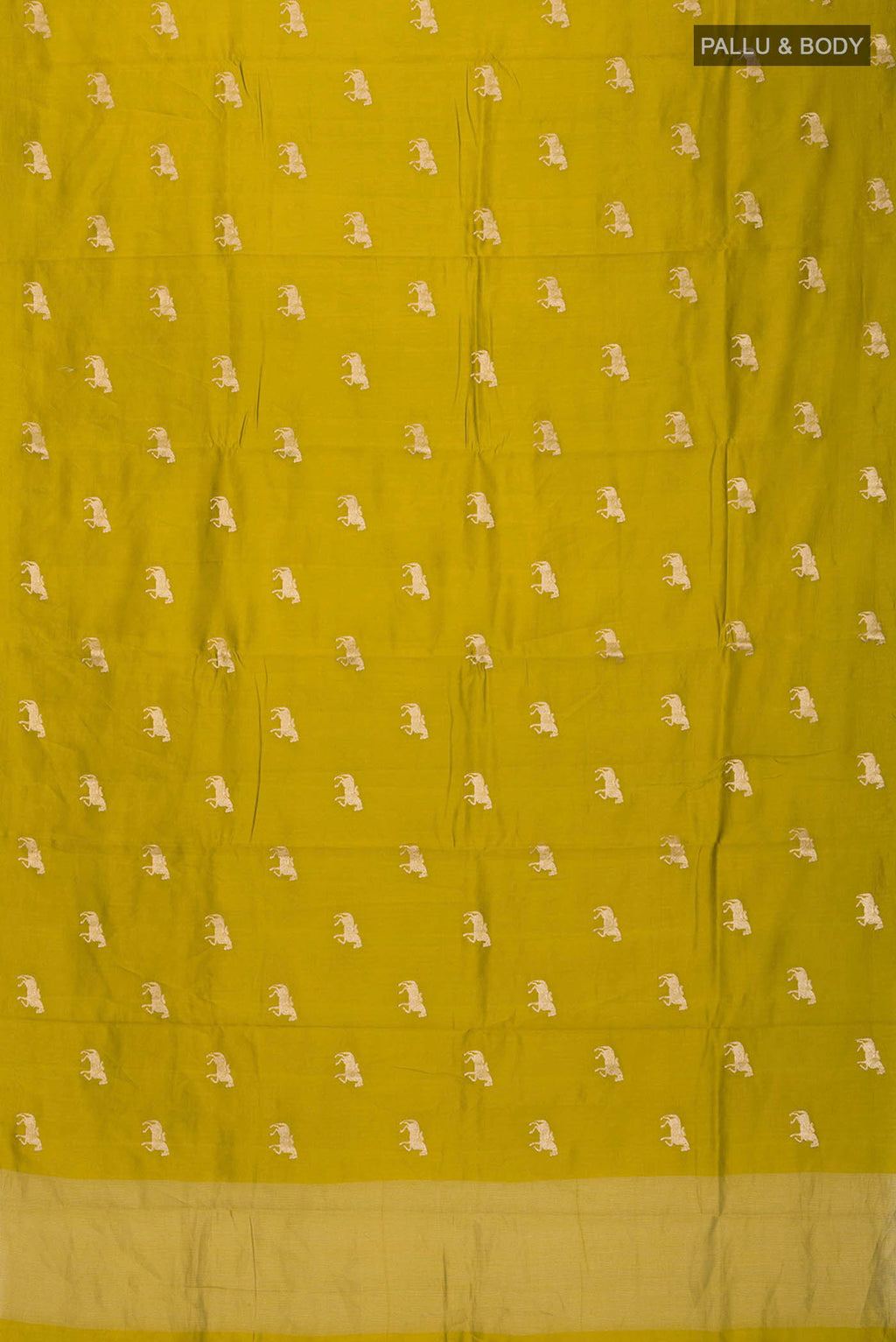 pallu body