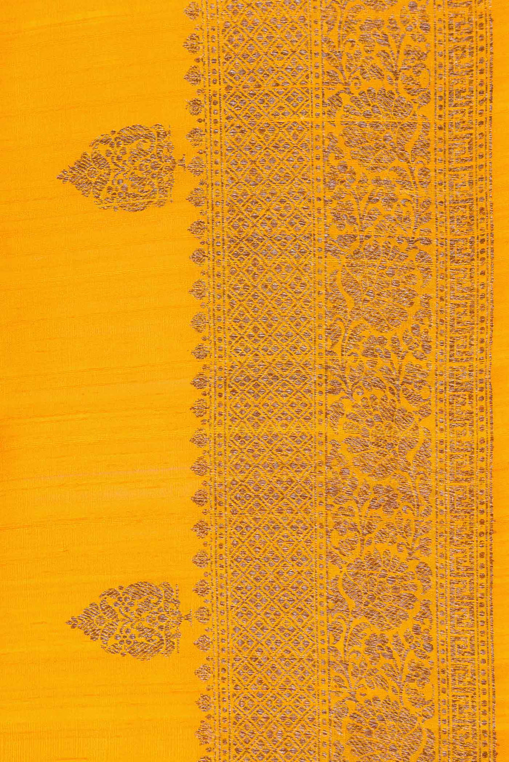 Border image of Mustard Dual Tone Raw Silk Saree with Zari Butta on the body and Zari Border