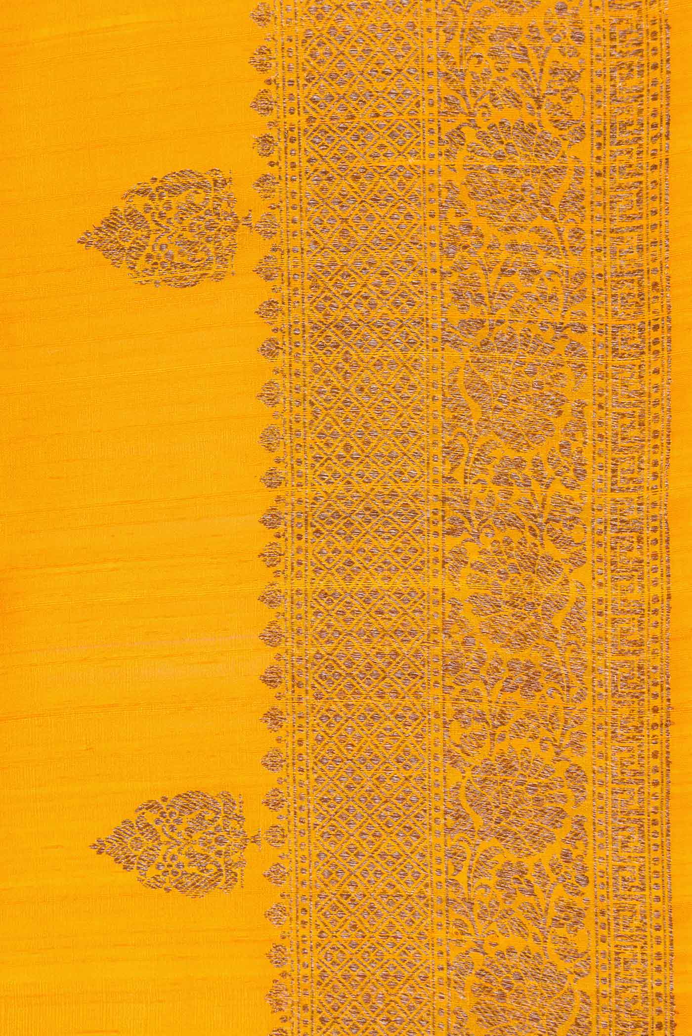 Border image of Mustard Dual Tone Raw Silk Saree with Zari Butta on the body and Zari Border