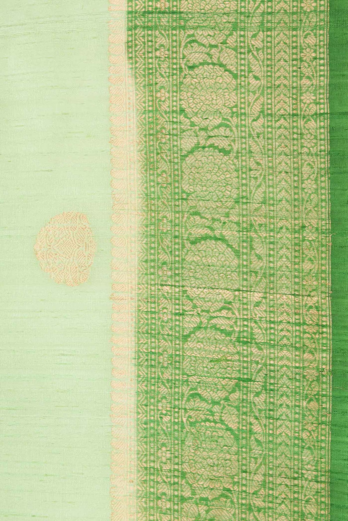 Border image of Light Green Dual Tone Raw Silk Saree with Zari Butta on the body and Zari Border