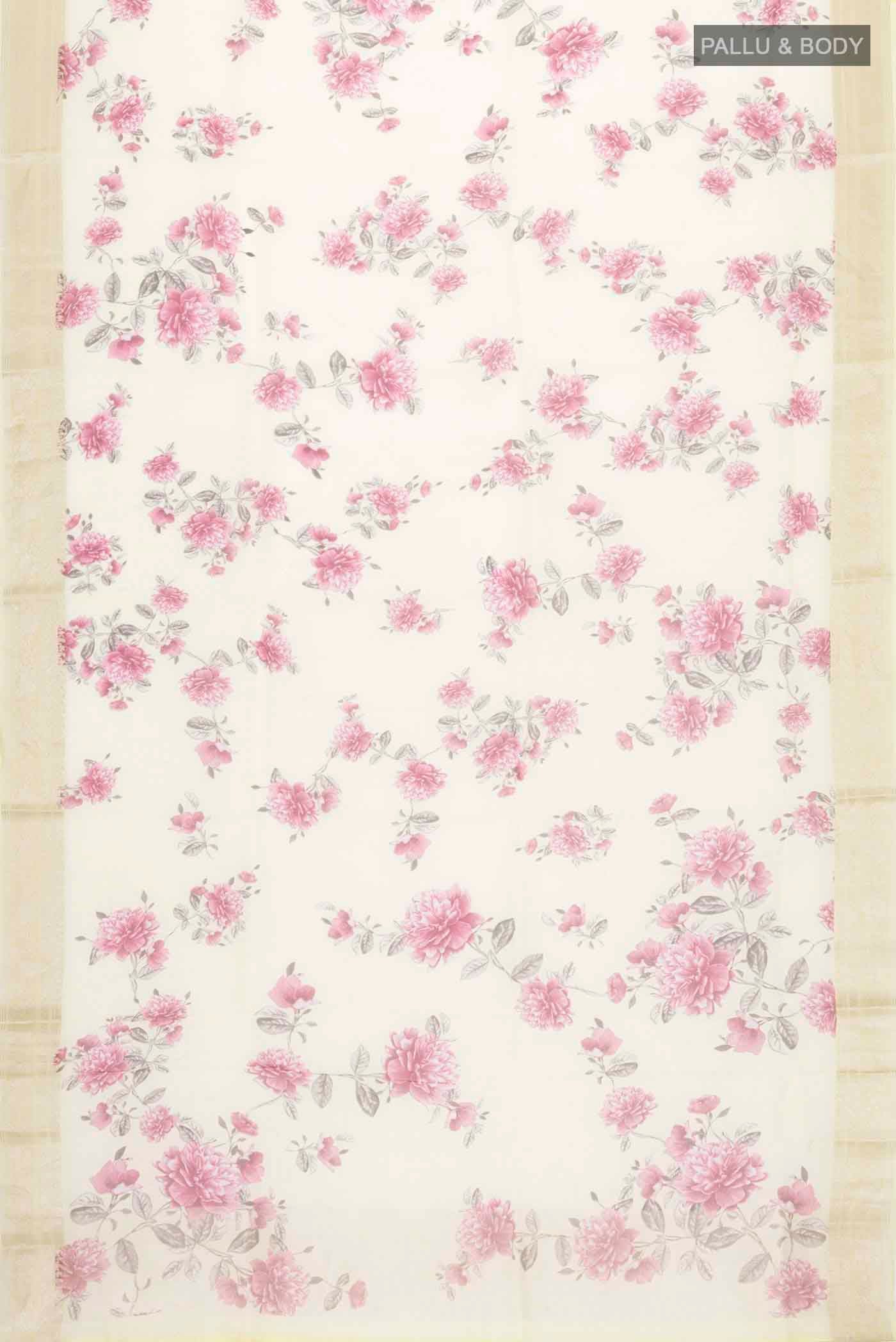 pallu body