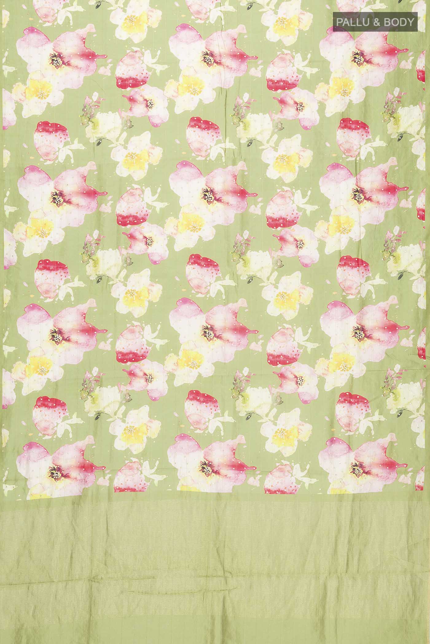 pallu body