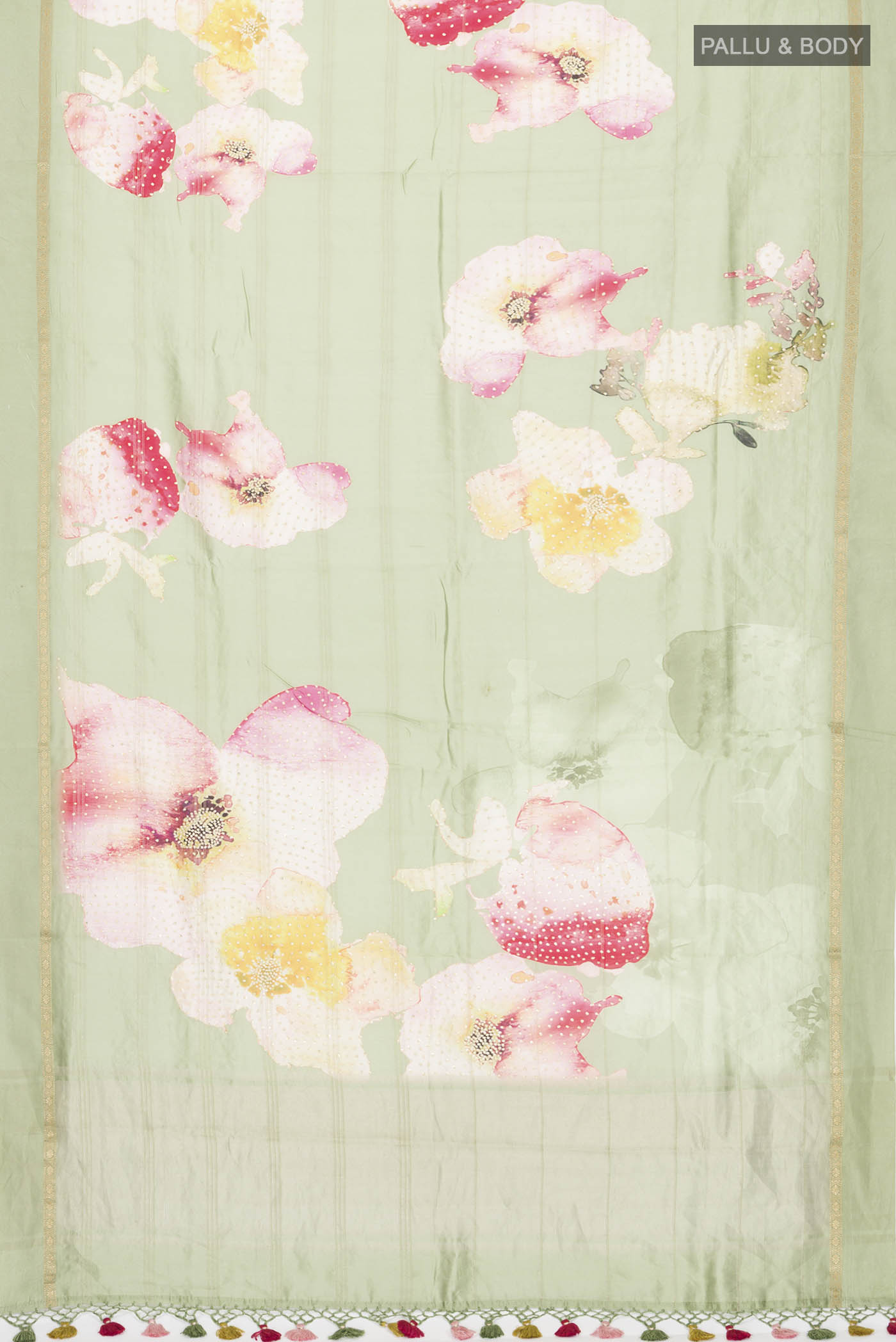 pallu body