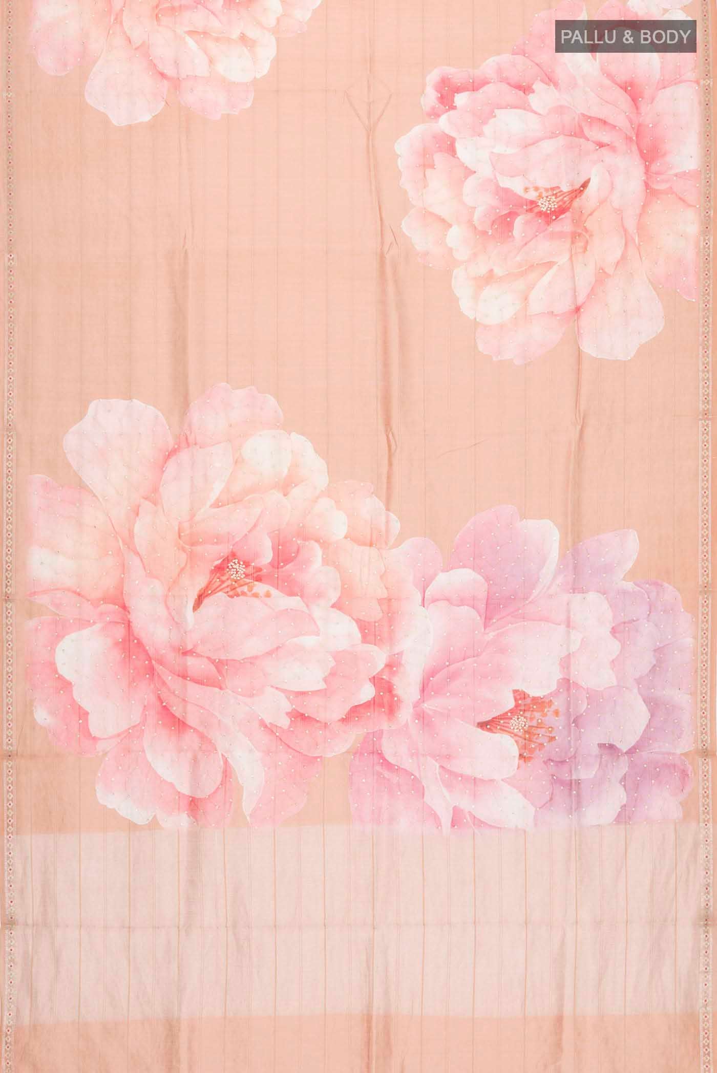 pallu body