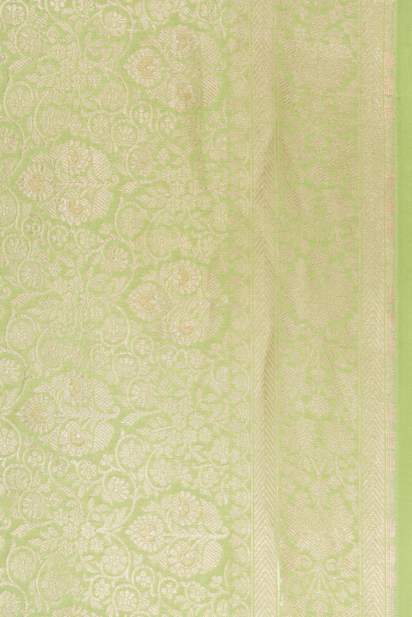 Border image of Pista Green Dual Tone Banarasi Silk Saree with Zari Brocade on the body and Zari Border. 