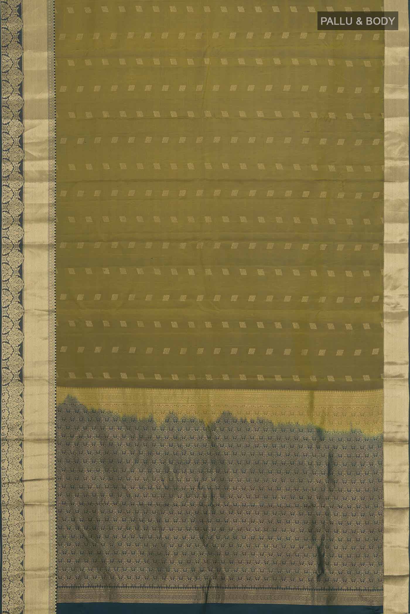 pallu body