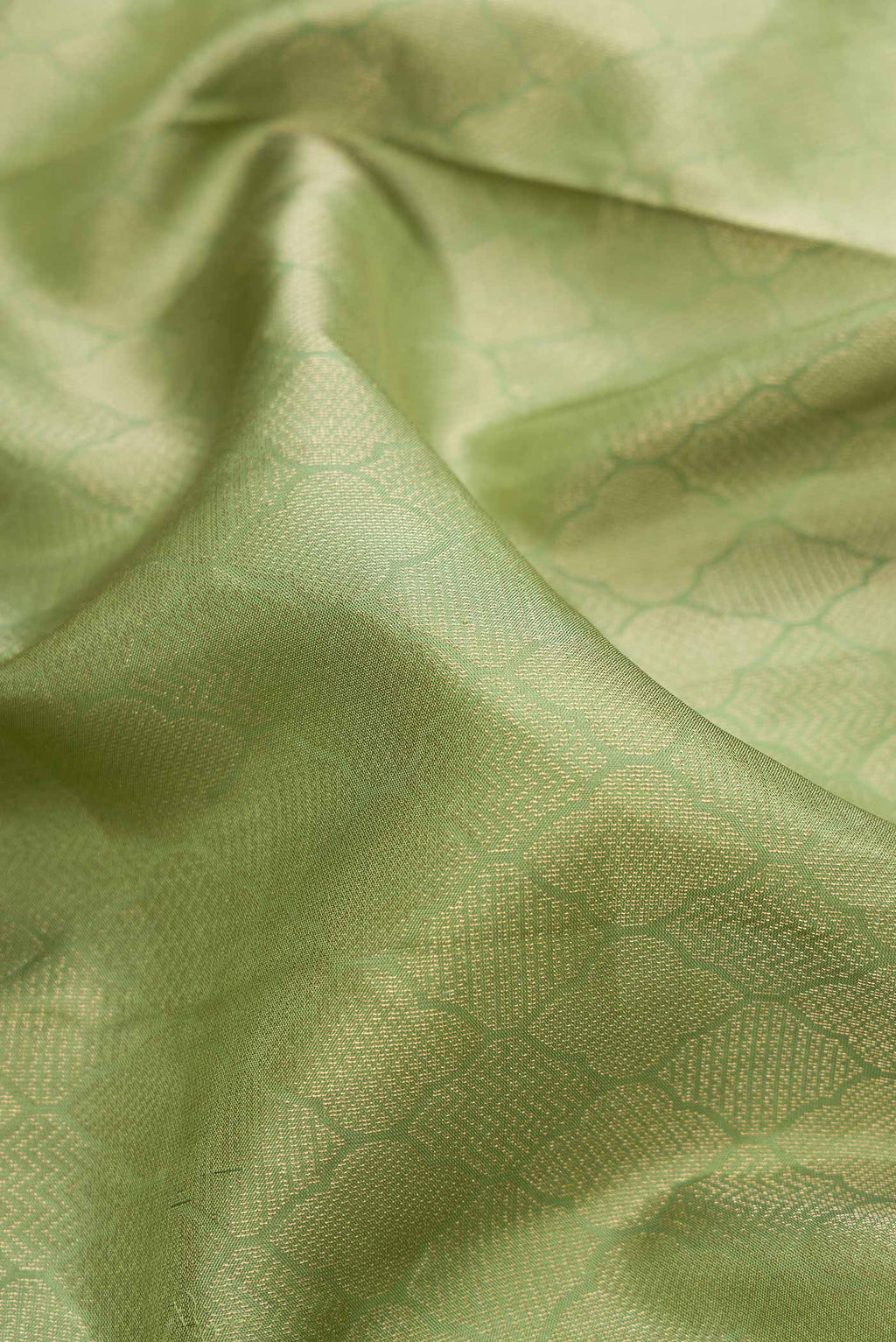 Close up of Pista Green Dual Tone Soft Silk Saree with Zari Brocade on the body and Zari Border.  displaying folds