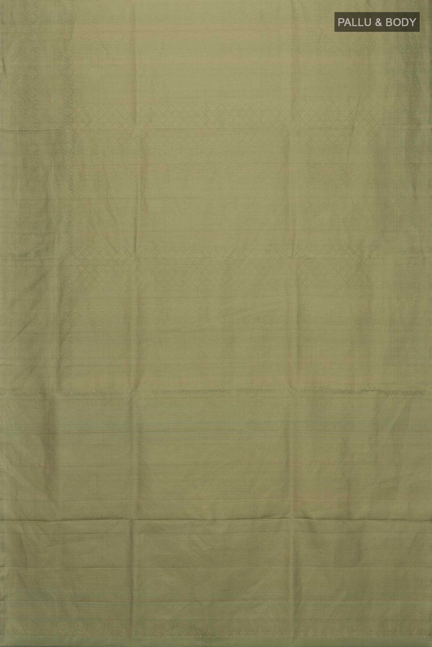pallu body