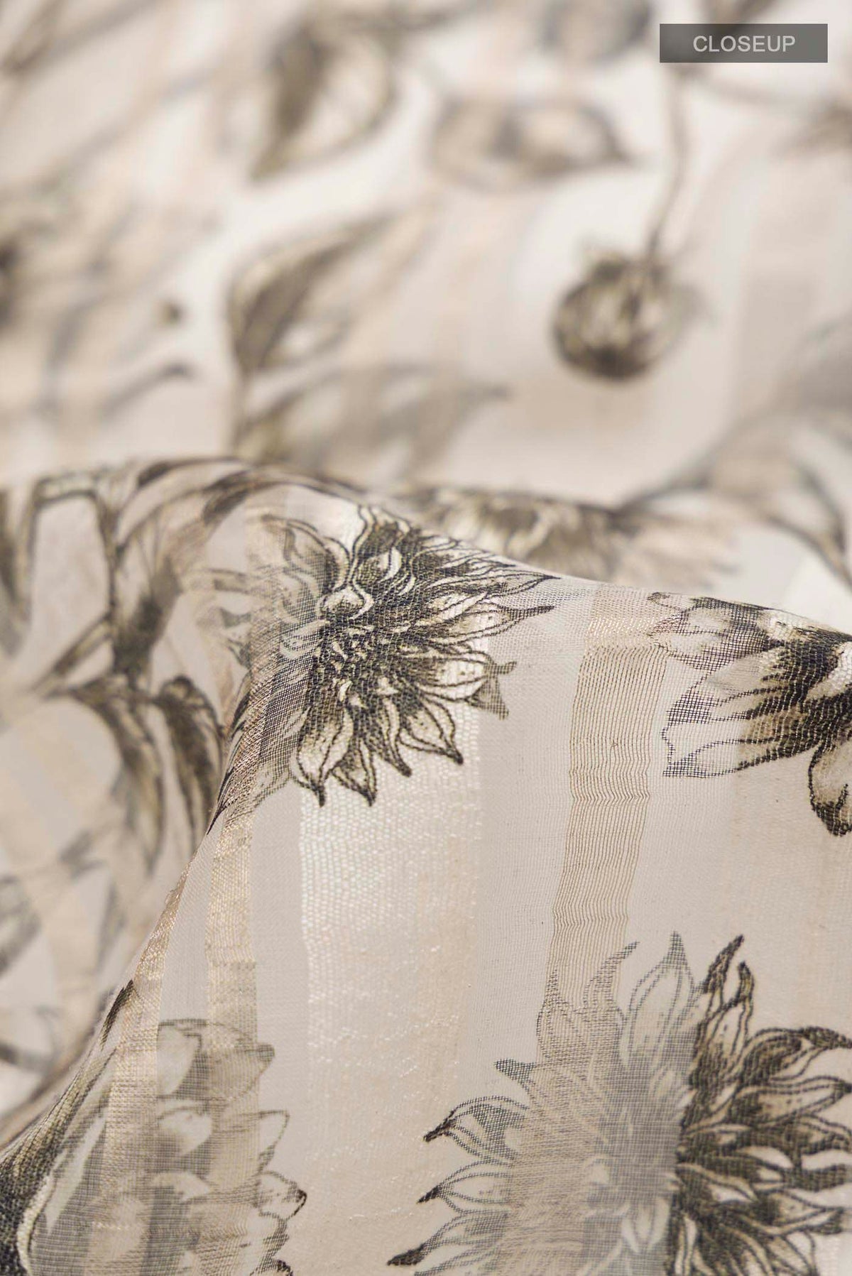 Close up of Cream Bhagalpuri Tussar Silk Saree with Printed design on the body and Zari Border displaying folds