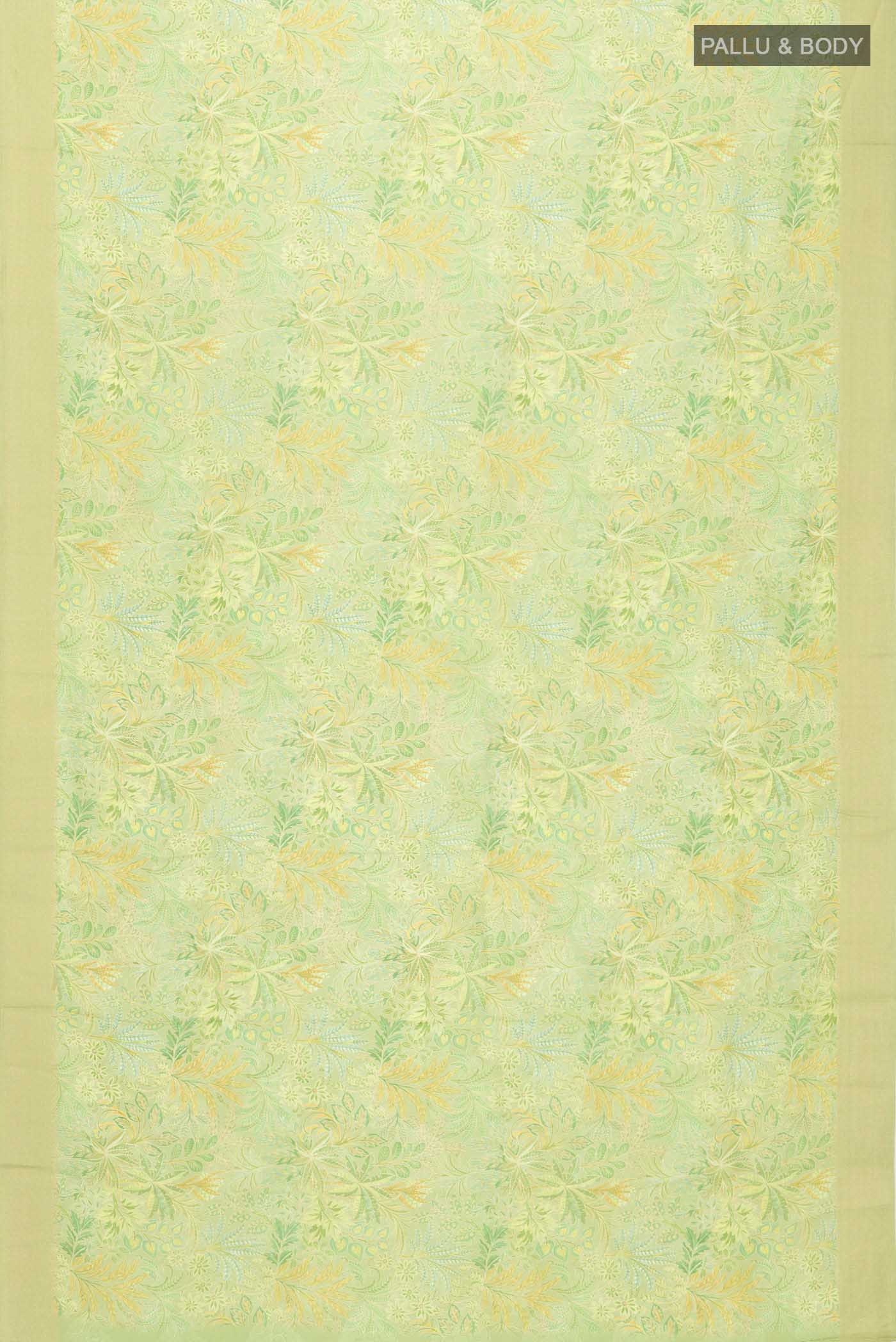 pallu body
