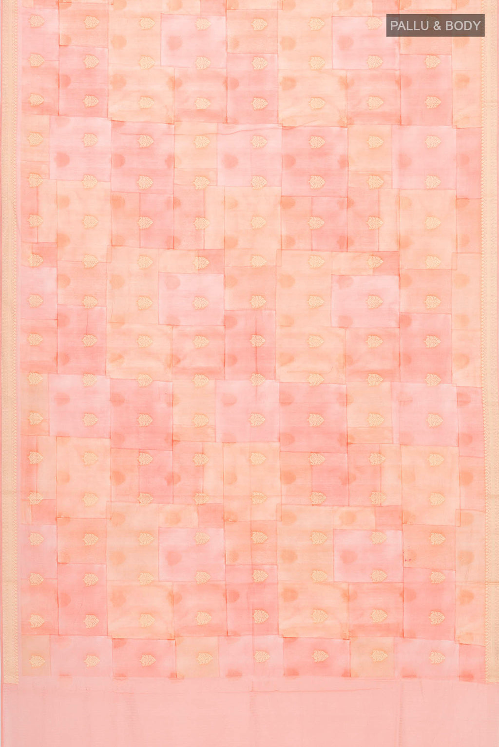 pallu body