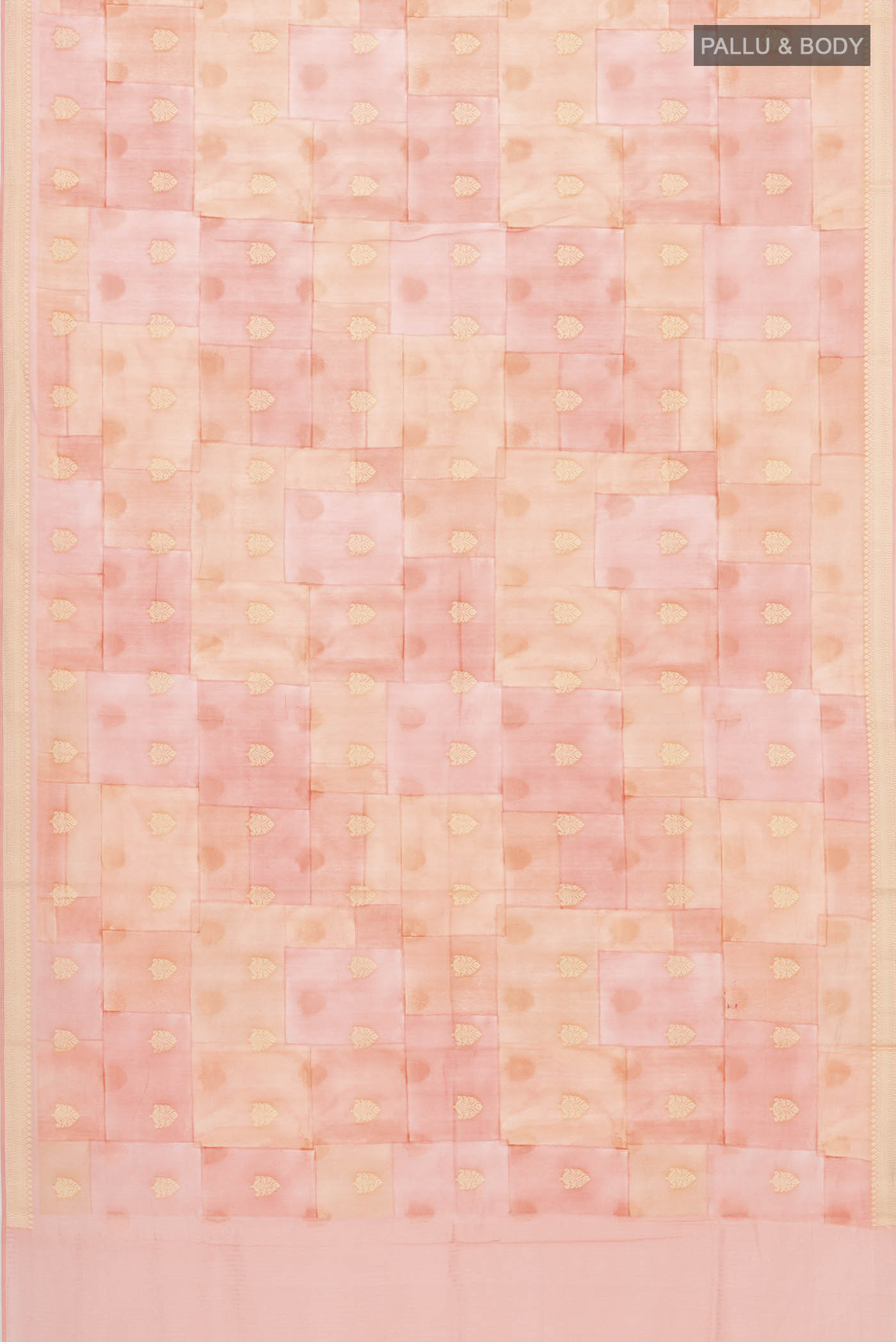 pallu body