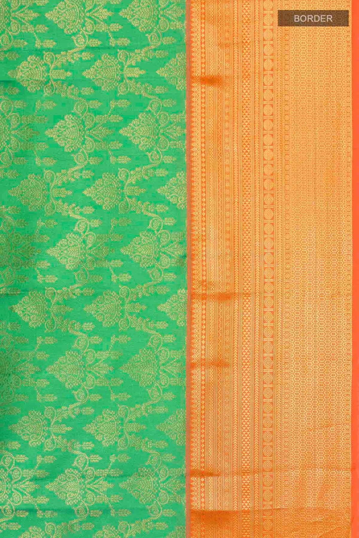 Border image of Green Kanchipuram Silk Saree with Zari Brocade on the body and Zari Border