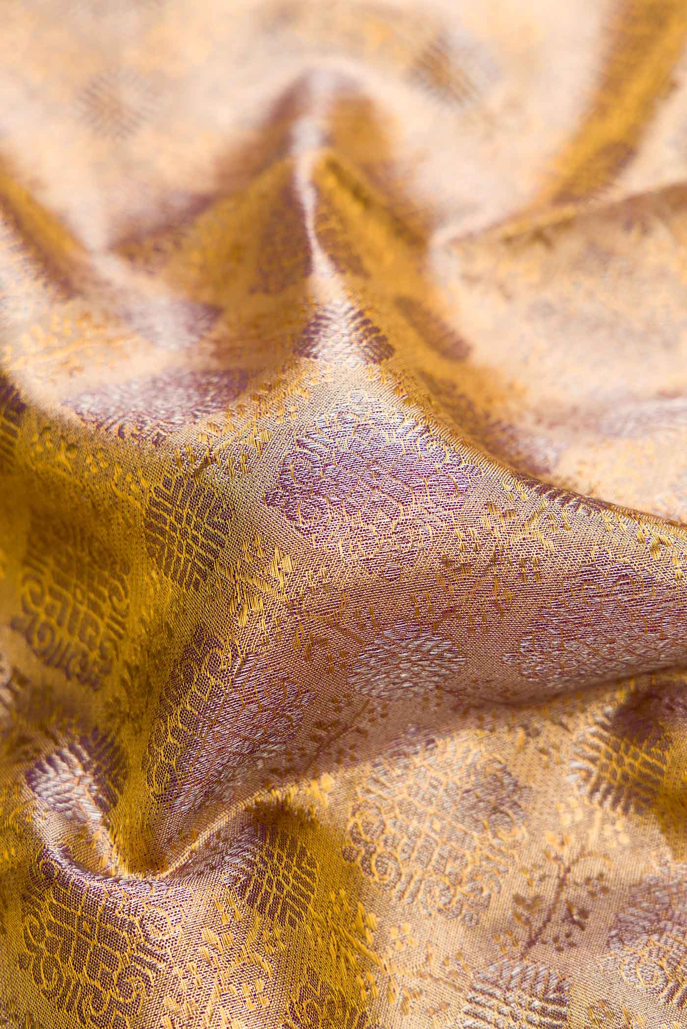 Close up of Gold Dual Tone Kanchipuram Tissue Silk Saree with Zari Brocade on the body and Zari Border.  displaying folds