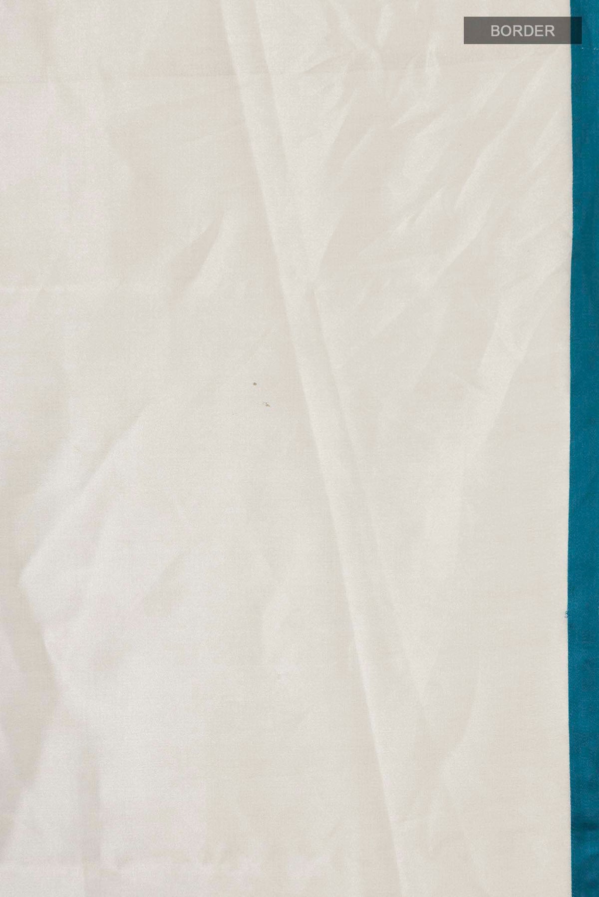 Border image of Multi Color Tissue Silk Saree with Plain Body and Plain Border