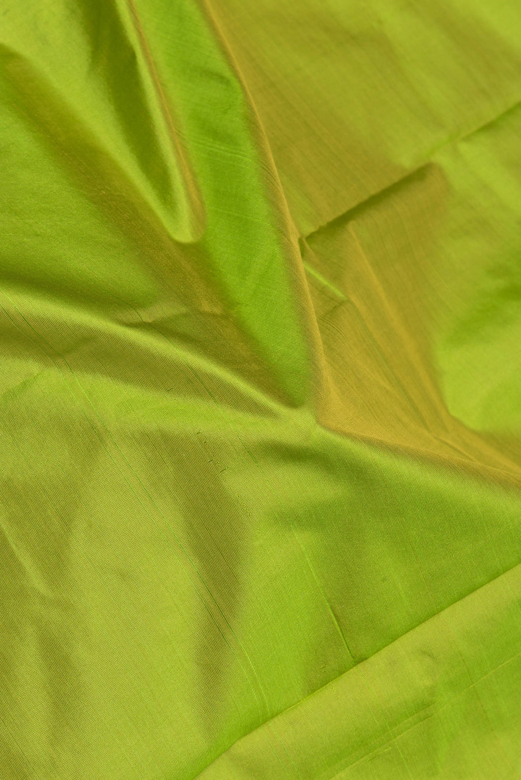 Close up of Parrot Green Kanchipuram Silk Saree with Thread Butta on the body and Thread Border.  displaying folds