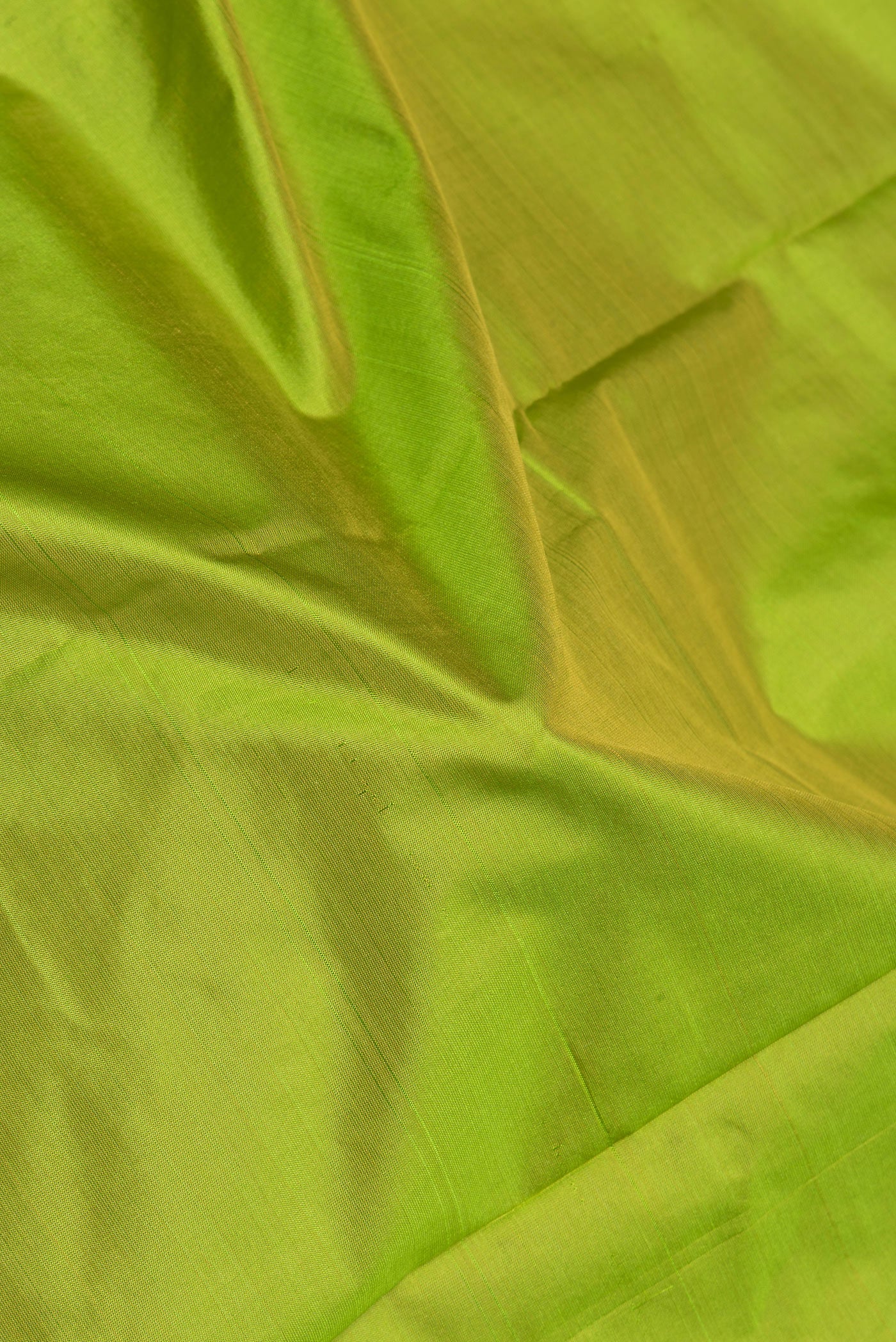 Close up of Parrot Green Kanchipuram Silk Saree with Thread Butta on the body and Thread Border.  displaying folds