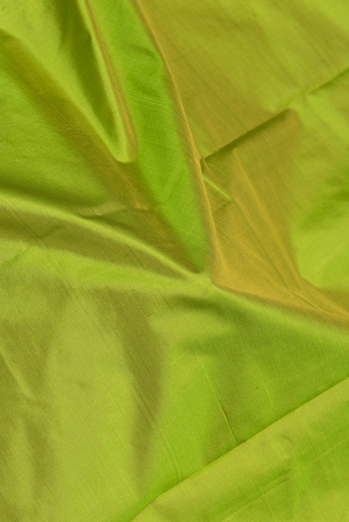 Close up of Parrot Green Kanchipuram Silk Saree with Thread Butta on the body and Thread Border.  displaying folds