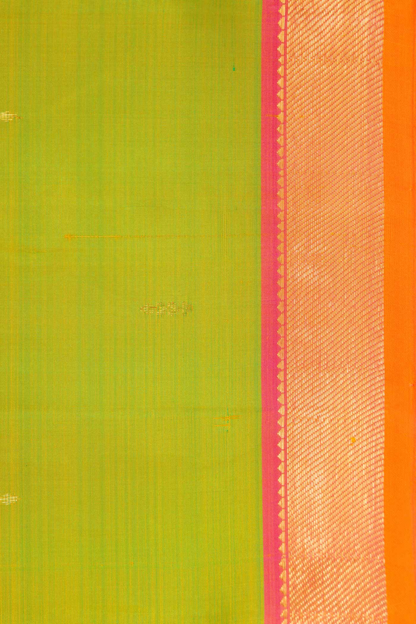 Border image of Parrot Green Dual Tone Kanchipuram Silk Saree with Zari Butta on the body and Zari Border. 