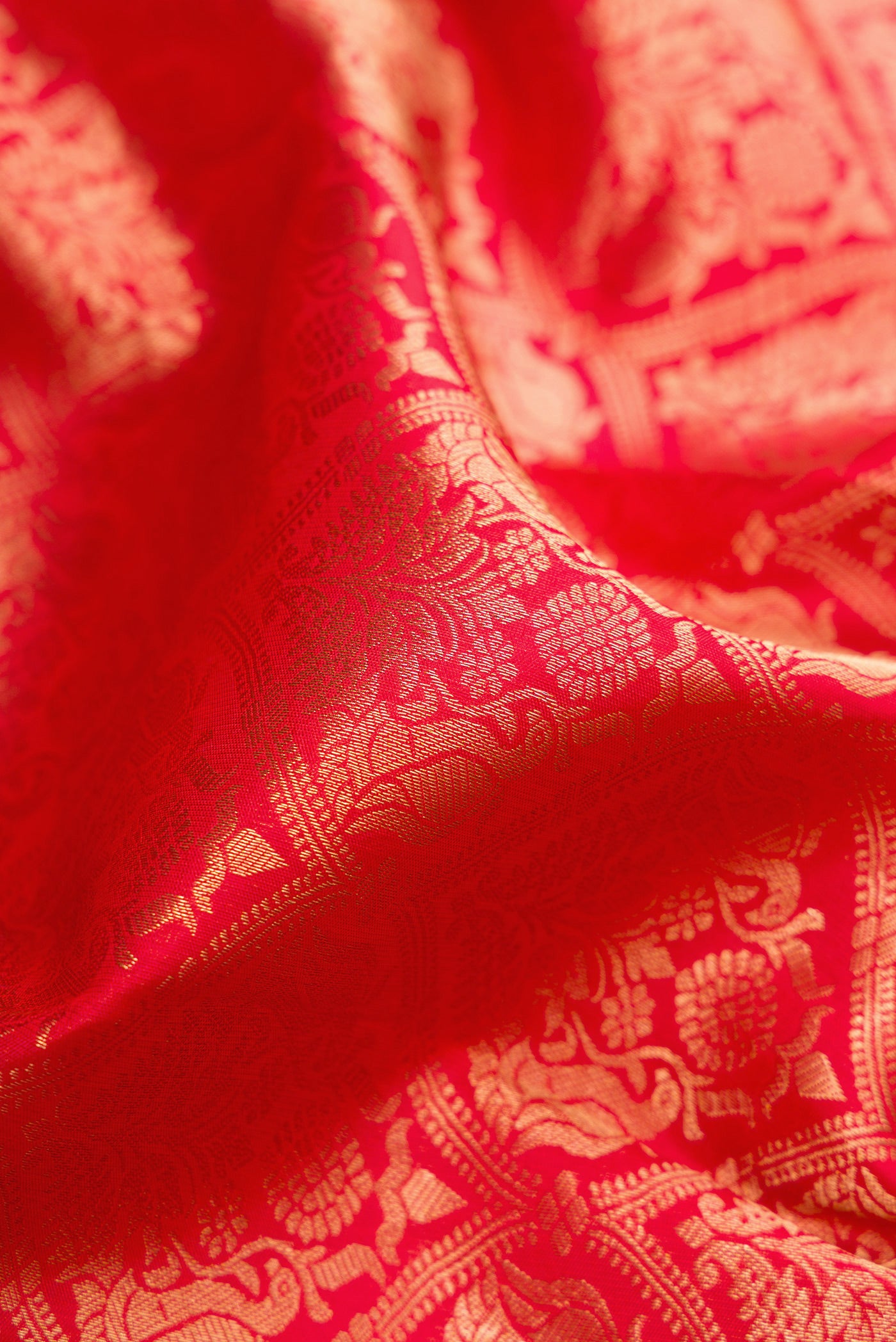 Close up of Red Kanchipuram Silk Saree with Zari Brocade on the body and Zari Border.  displaying folds