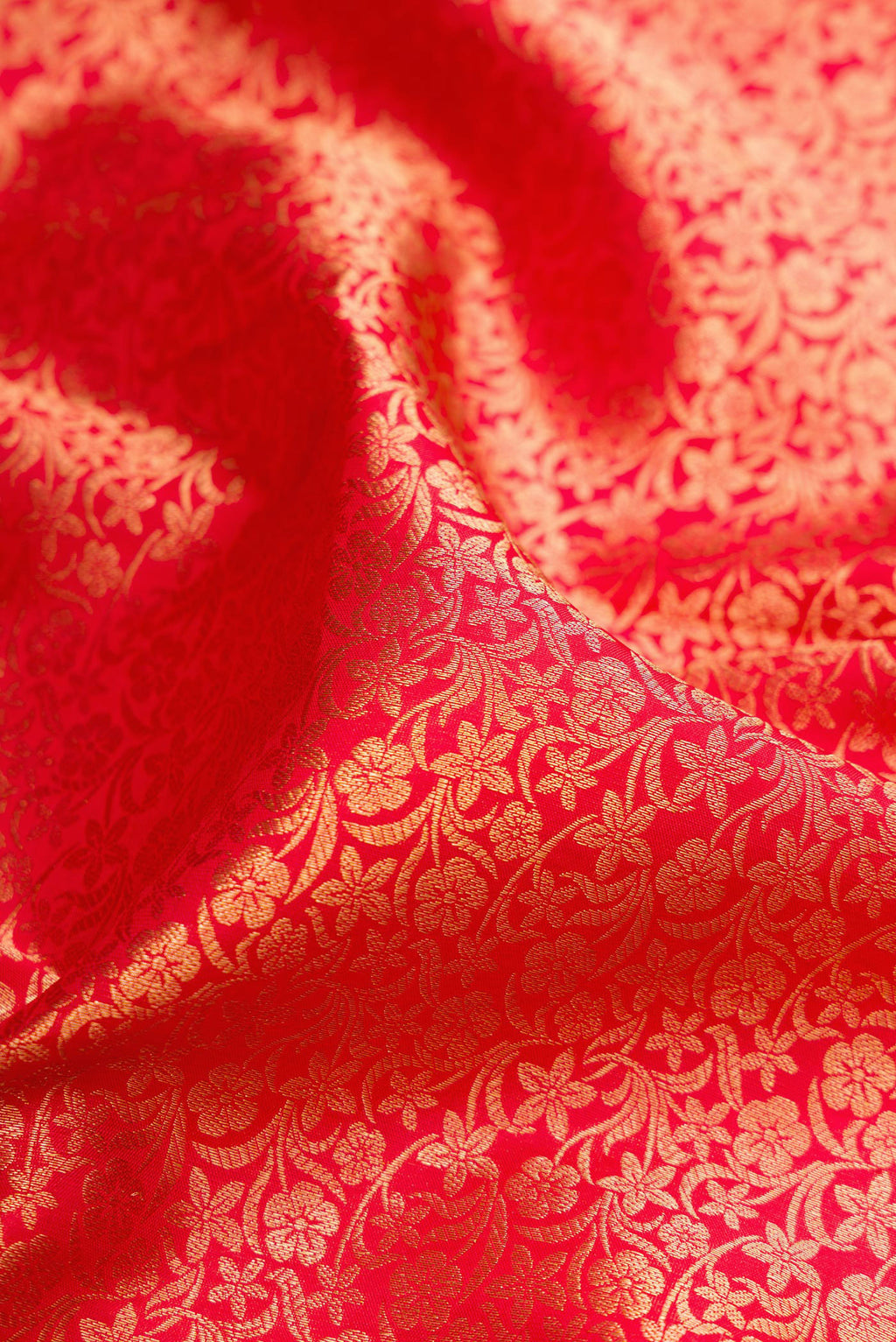 Close up of Red Kanchipuram Silk Saree with Zari Brocade on the body and Zari Border.  displaying folds