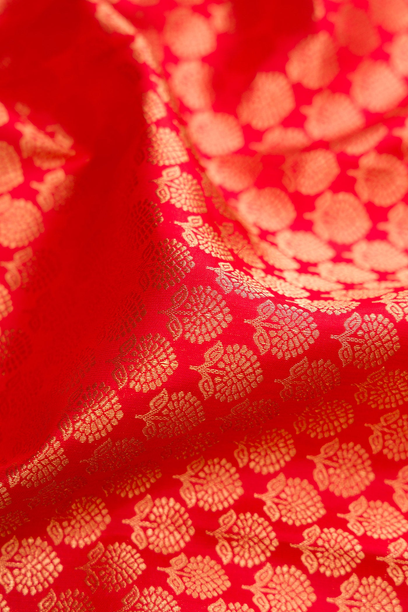 Close up of Red Kanjivaram Silk Saree with Zari Brocade on the body and Zari Border.  displaying folds