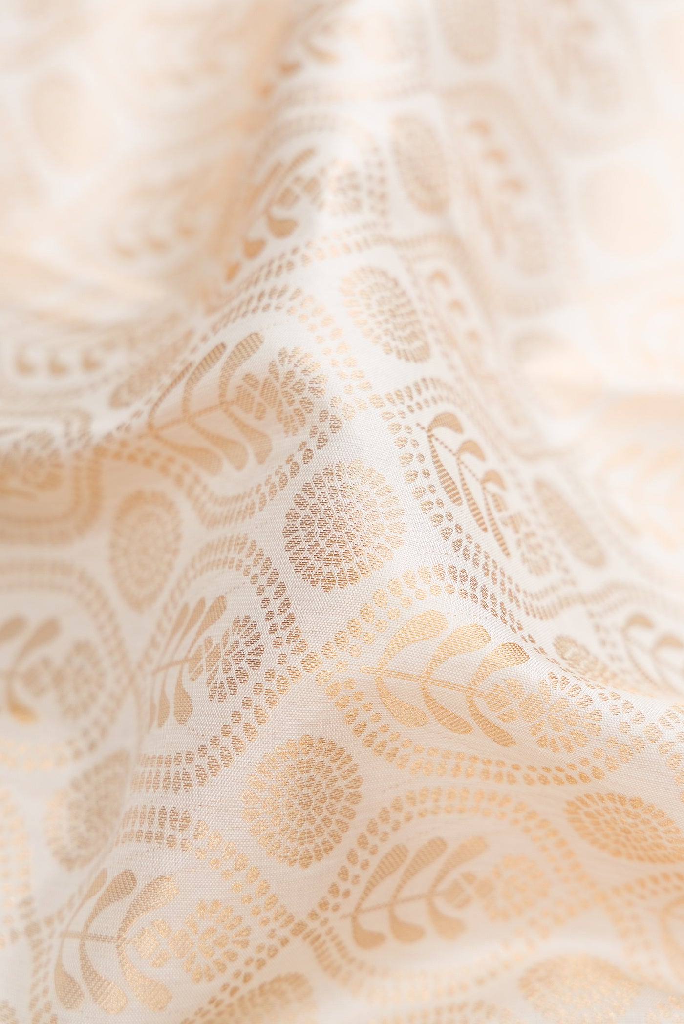 Close up of Off White Kanjivaram Silk Saree with Zari Brocade on the body and Zari Border.  displaying folds