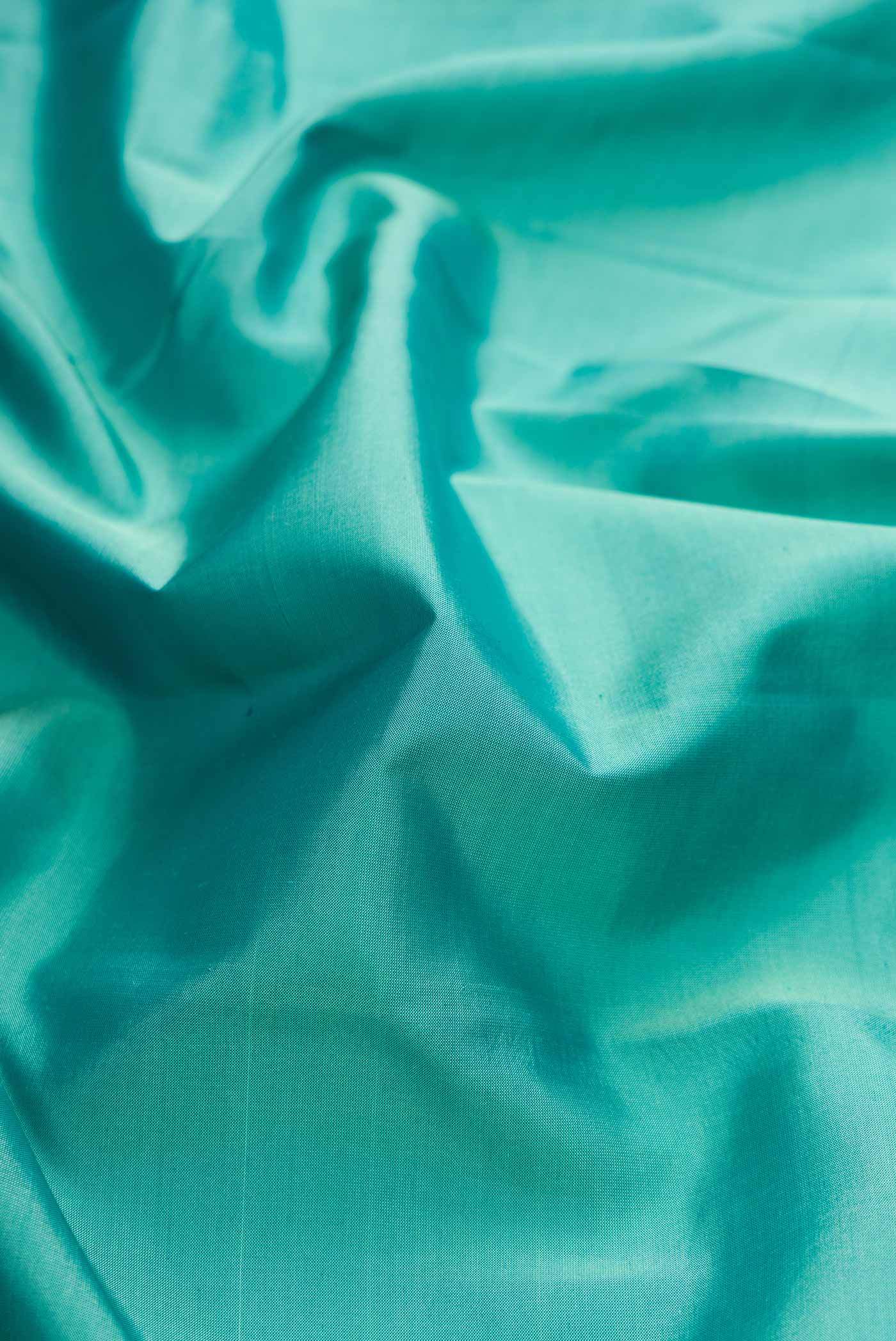 Close up of Green Dual Tone Kanchipuram Silk Saree with Zari Butta on the body and Ganga Jamuna Border displaying folds
