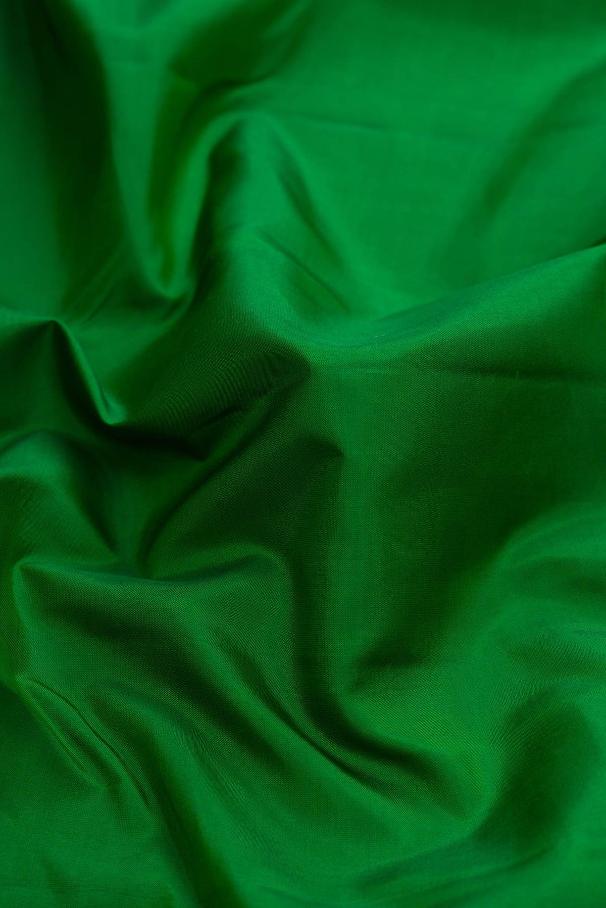 Close up of Green Dual Tone Kanchipuram Silk Saree with Plain Body and Ganga Jamuna Border displaying folds
