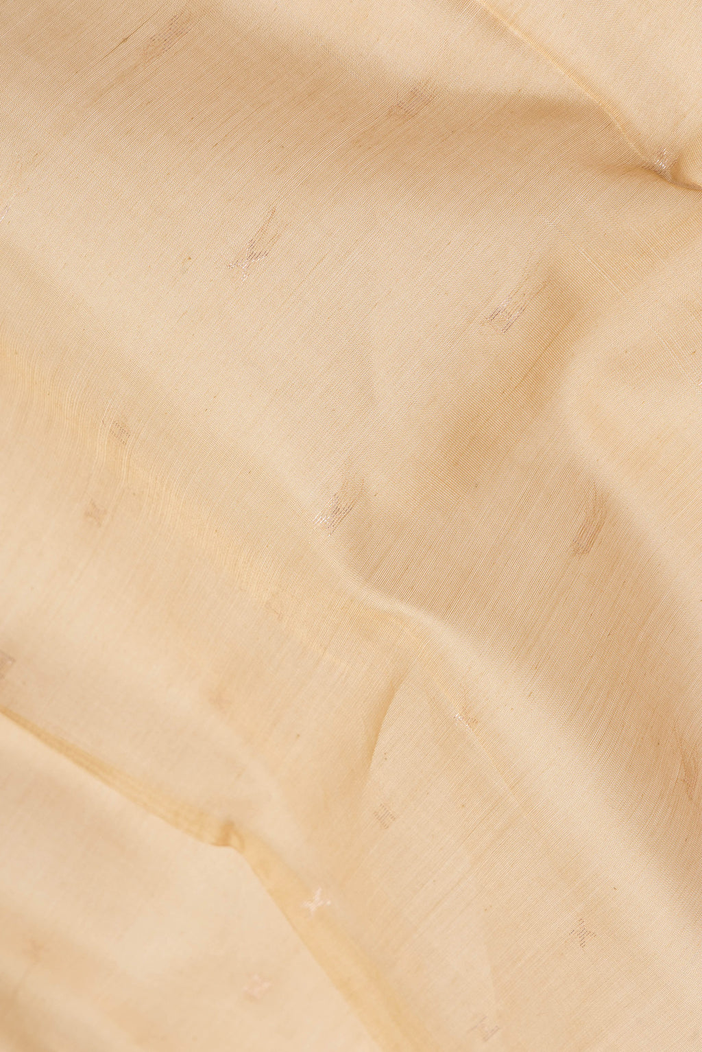 Close up of Beige Silk Cotton Saree with Zari Butta on the body and Zari Border.  displaying folds