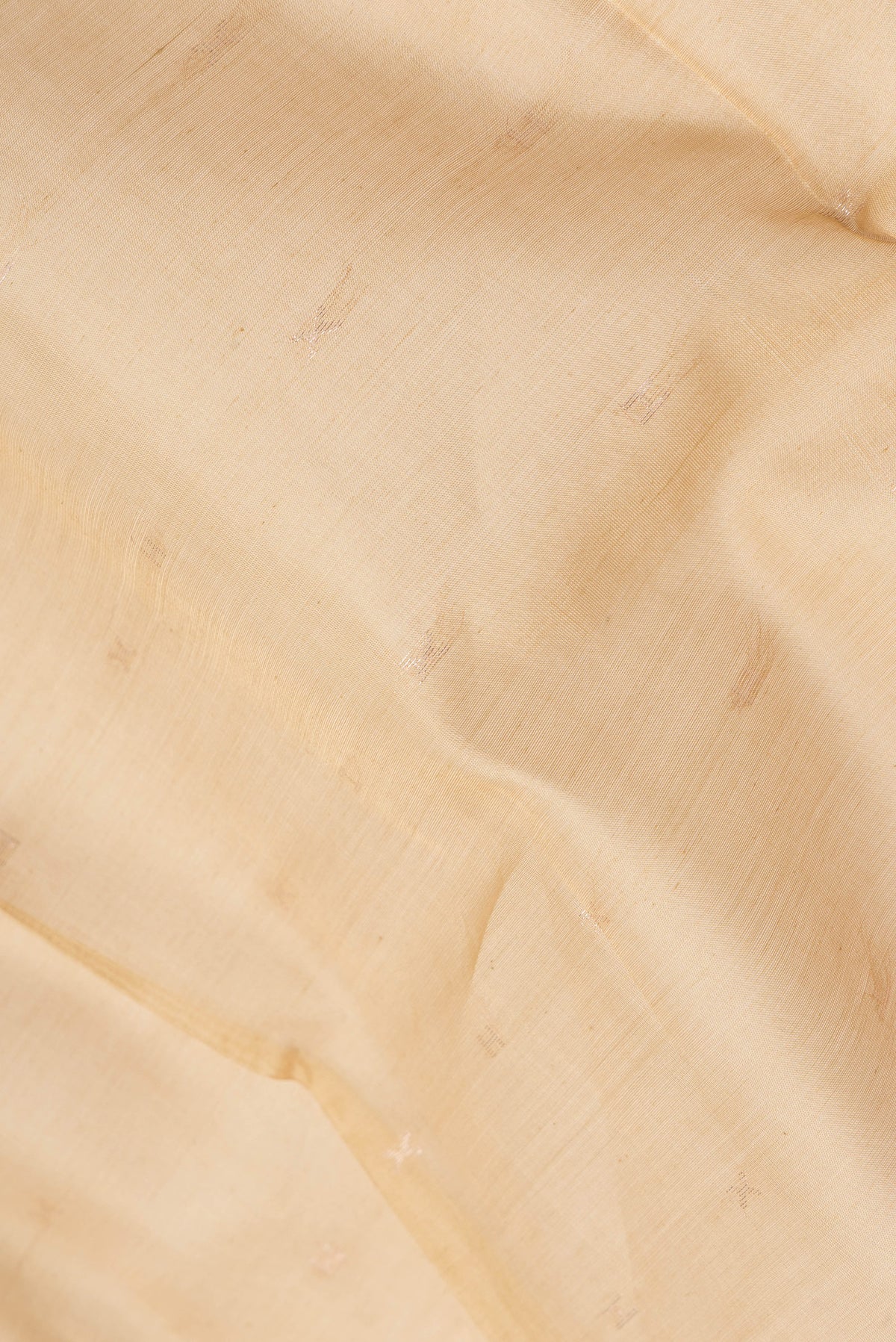 Close up of Beige Silk Cotton Saree with Zari Butta on the body and Zari Border.  displaying folds