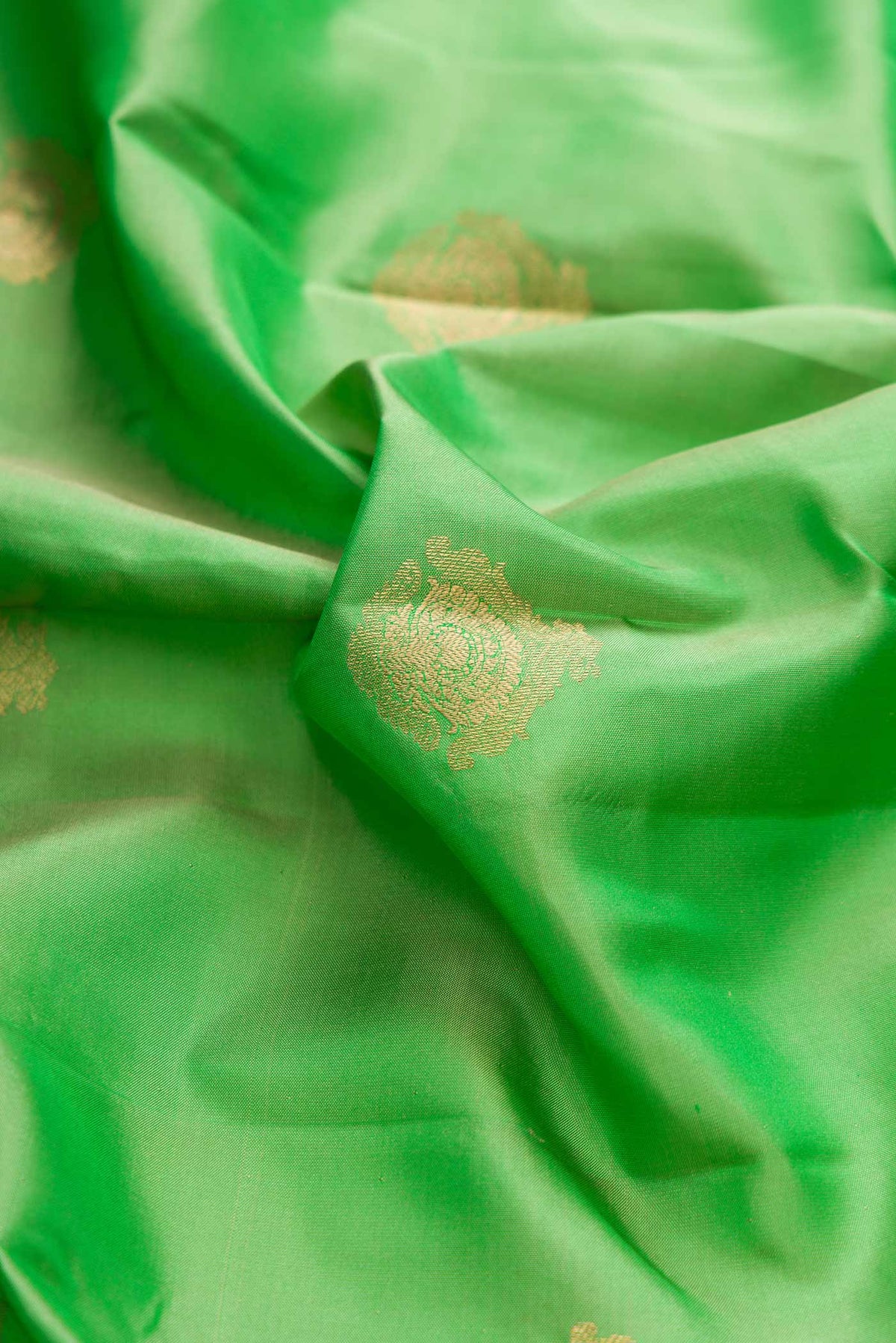 Close up of Parrot Green Dual Tone Kanchipuram Silk Saree with Zari Butta on the body and Zari Border displaying folds