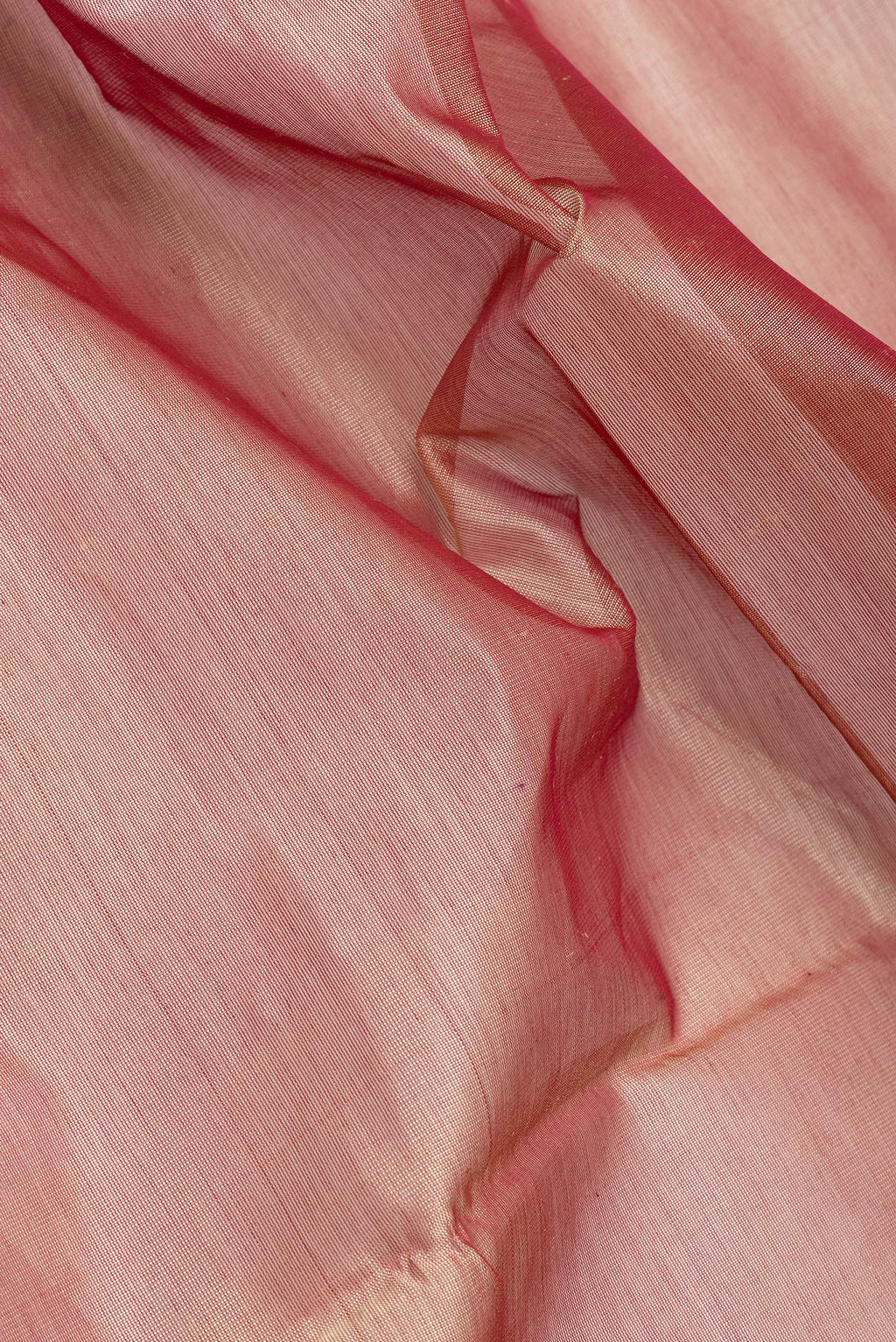 Close up of Golden Peach Silk Cotton Saree with Plain Body and Zari Border.  displaying folds