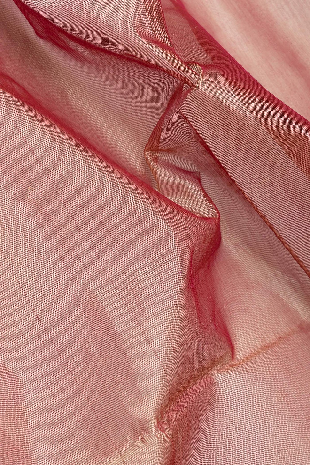 Close up of Golden Peach Silk Cotton Saree with Plain Body and Zari Border.  displaying folds