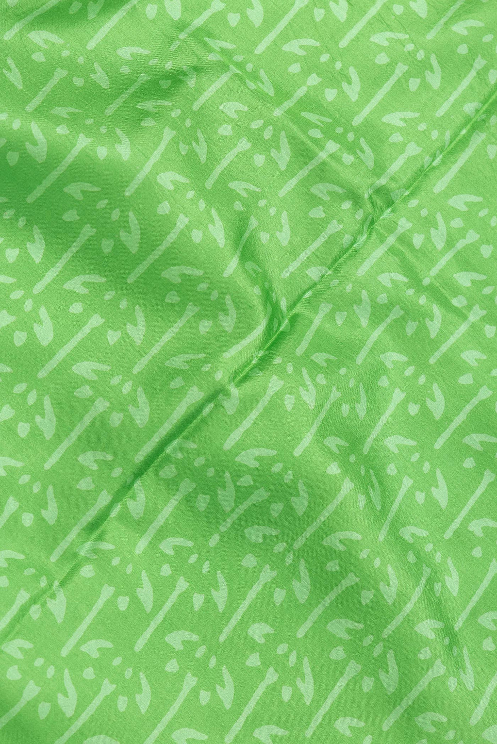 Close up of Green Dual Tone Printed Silk Saree with Printed design on the body and Printed Border.  displaying folds