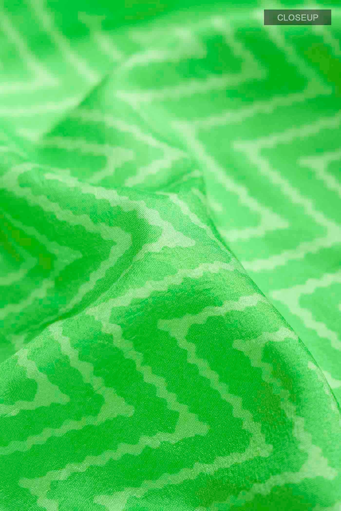 Close up of Green Printed Silk Saree with Printed design on the body and Zari Border displaying folds