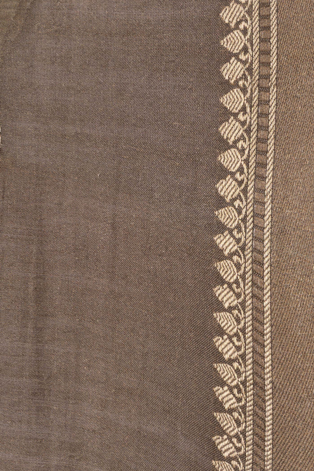 Border image of Beige Dual Tone Tussar Silk Saree with Embroidery on the body and Embroidery Border. 
